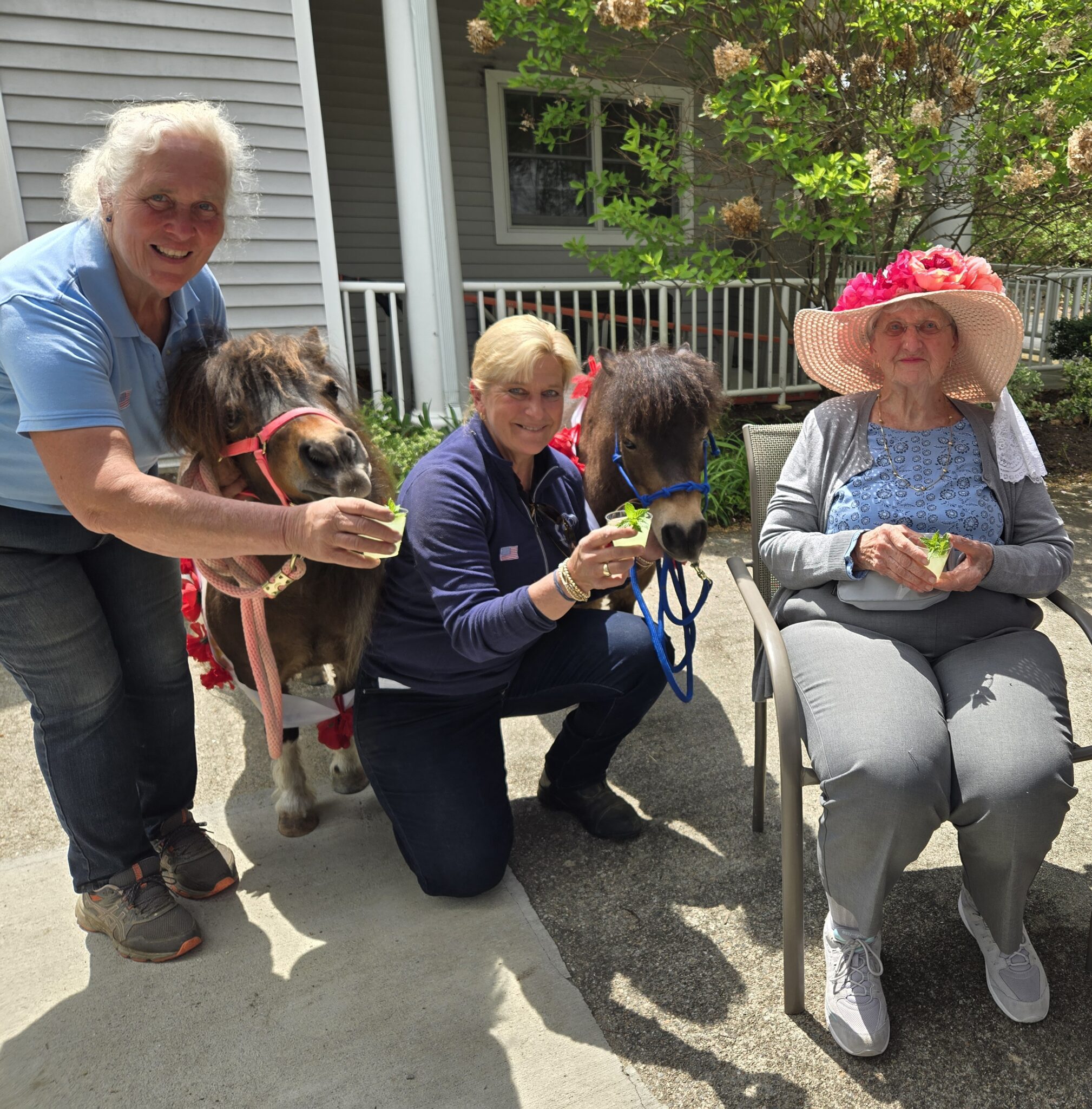 Saint Elizabeth Adult Day Centers - Saint Elizabeth Community
